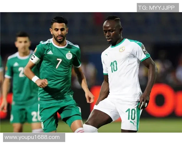 非洲杯精彩对决揭幕球迷热情高涨期待冠军之争