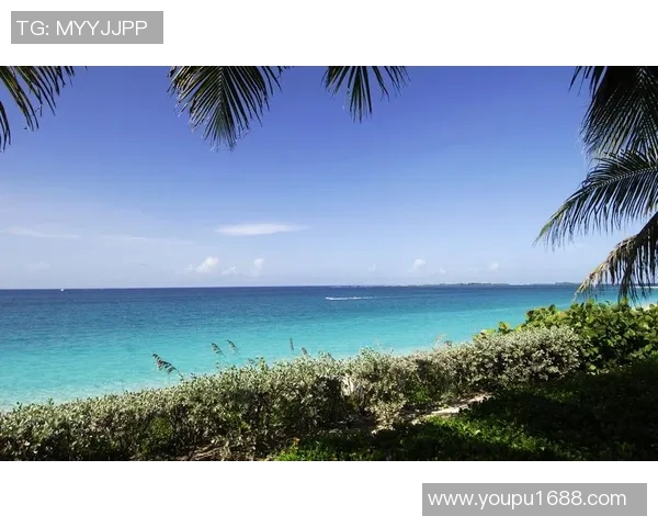 滕海滨:探索海洋之美与人文魅力的完美结合之旅 滕海滨:探索海洋之美与人文魅力的完美结合之旅